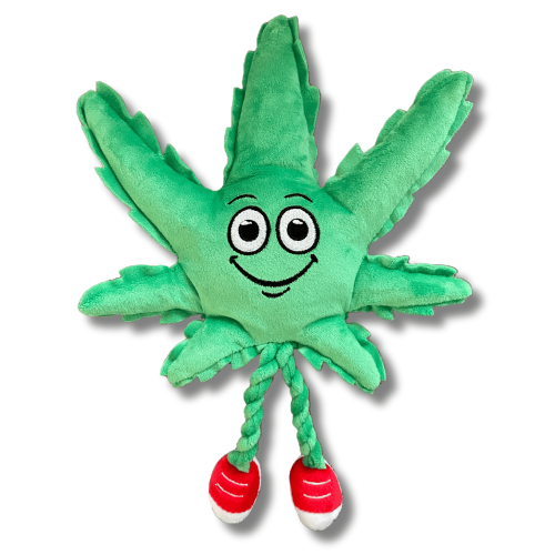 My Name is MJ, Cute Stuffed Parody Marijuana Leaf Dog Toy, Funny Squeaky Weed Toy, Cool Plush Novelty 420 Gift for Puppies & Small My Name is MJ, Cute Stuffed Parody Marijuana Leaf Dog Toy, Funny Squeaky Weed Toy, Cool Plush Novelty 420 Gift for Puppies & Small